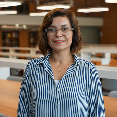 Dr. Öğr. Üyesi Anıl ÇAKIR GÖNEN
